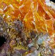 Bright Orange Wulfenite Cluster - Rowley Mine, AZ #34889-1